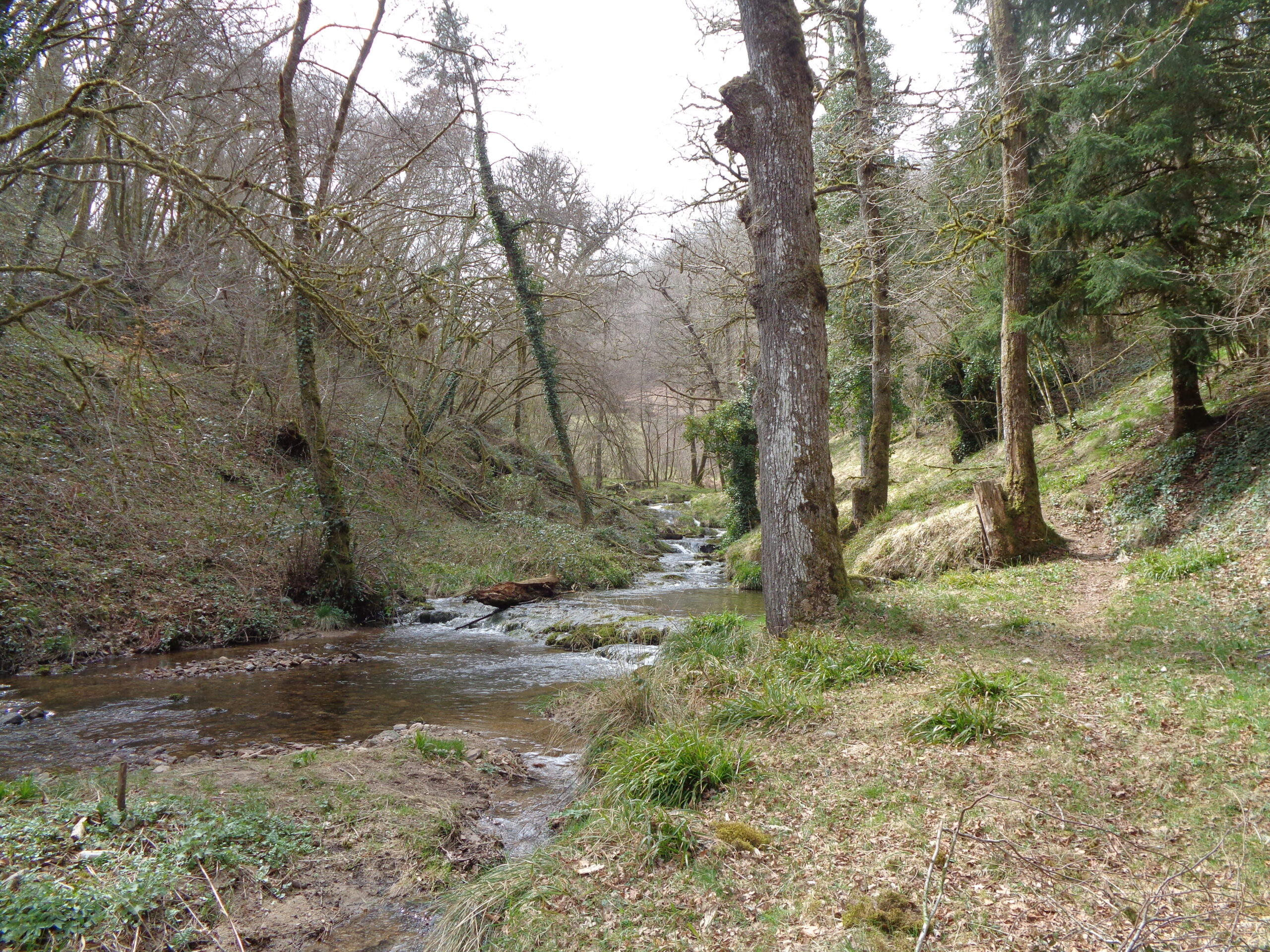 GITE Coeur de Nature