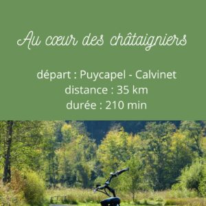 Circuit VTT – Au cœur des châtaigniers