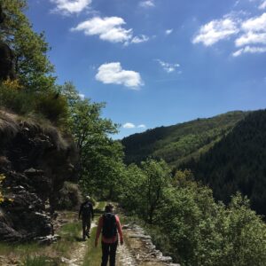 Rando pédestre – GR® 465 en Châtaigneraie Cantalienne