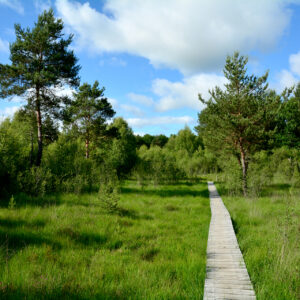 Randonnée pédestre – Viescamp