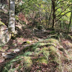 Rando pédestre – La Bécarie – La Vinzelle