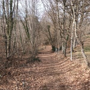 Rando pédestre – Les Quatre Châteaux