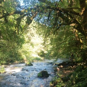 Rando pédestre – GR®652, les gorges de la Cère