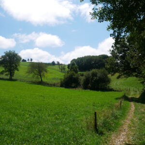 Rando pédestre – Le chemin des chèvres