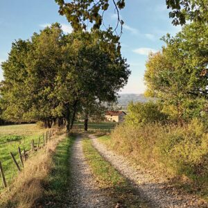 Rando pédestre – Le Chemin des causses
