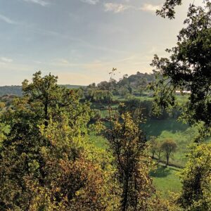 Rando pédestre – Le Chemin des causses