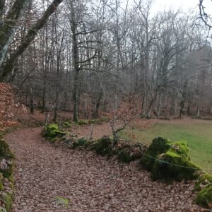Rando pédestre – Entre fours et moulins
