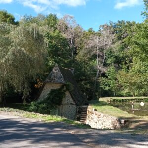 Rando pédestre – Les Châtaigniers