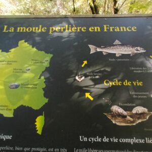 Rando pédestre – Les Trésors du Haut-Célé
