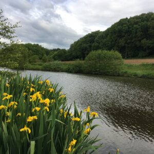 Rando pédestre – Circuit du Lac