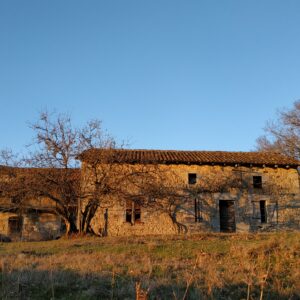 Rando pédestre – Circuit des Moulès