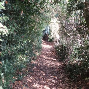 Rando pédestre – La randonnée des collines