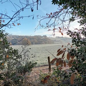 Rando pédestre – La randonnée des collines
