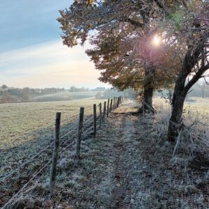 Rando pédestre – La randonnée des collines