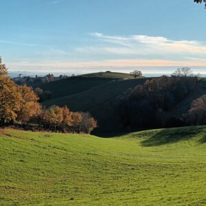 Rando pédestre – Le sentier des Puechs