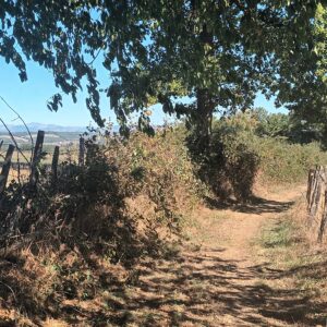 Rando pédestre – Liaison du Marais du Cassan