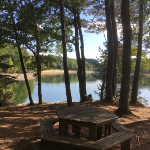 Rando pédestre – Tour de la presqu’île de Rénac