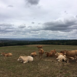 Rando pédestre – Le Pénard