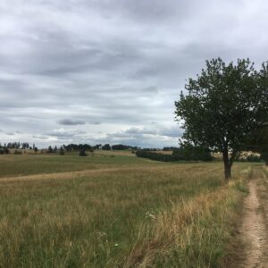 Rando pédestre – Le Pénard