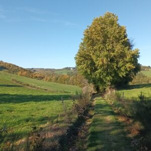 Rando pédestre – Le Veinazès