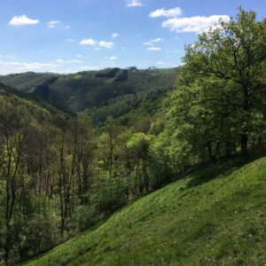 Rando pédestre – Montsalvy Riols