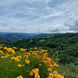 Rando pédestre – Montsalvy Riols