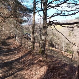 Circuit VTT – Le Roannes