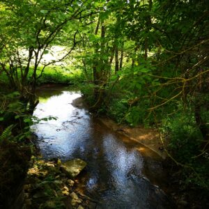 Circuit VTT – Le Roannes