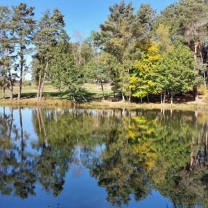 Circuit VTT – Ronde en Ségala