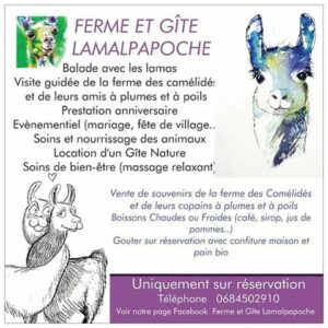 Sanctuaire animalier « La Prairie des Animaux » – Ferme Lamalpapoche