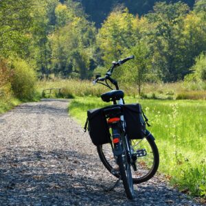 Circuit VTT – Au cœur des châtaigniers