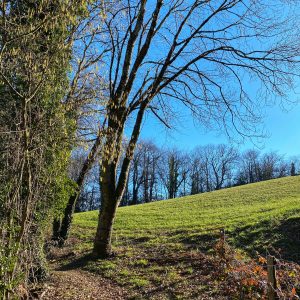 Rando pédestre – Cardalhac