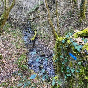 Rando pédestre – Cardalhac