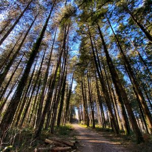 Rando pédestre – Cardalhac