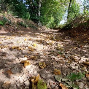 Sentier du patrimoine de Teissières-lès-Bouliès
