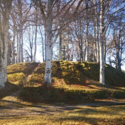 Puy de l'Arbre