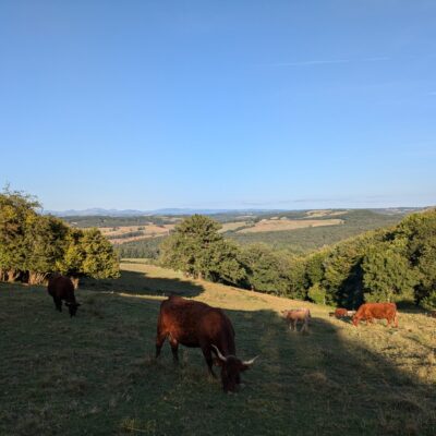 Salers et monts du Cantal ©OT Châtaigneraie