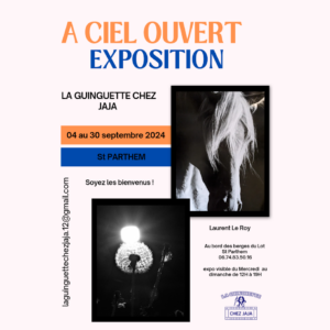 Exposition « À Ciel Ouvert » Août