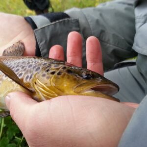 Concours de pêche enfants et adultes