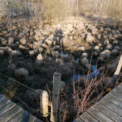 Marais du Cassan Nature Hiver Humain ombre 1