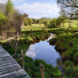 St Etienne Cantalès Nature Marais du Cassan eau 3