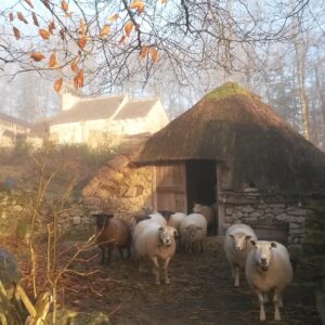 Les Fermes du Moyen Âge de Xaintrie