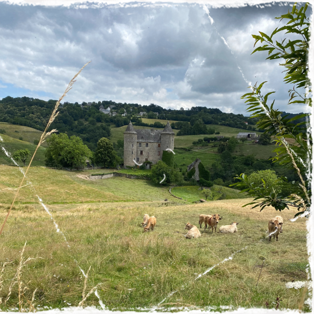 Les châteaux méconnus en Châtaigneraie - partie 2