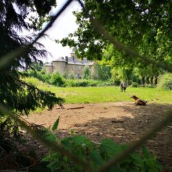 Château du Trioulou ©OT Châtaigneraie