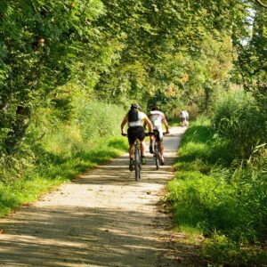 Locations de VTT à assistance électrique – Asvolt