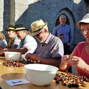 34e Foire de la Châtaigne et du Châtaignier à Mourjou