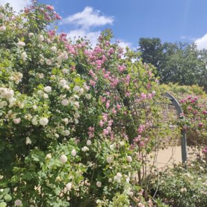 Fête des Mères aux Jardins Sothys
