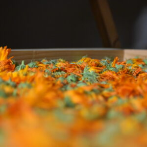 Atelier d’art floral