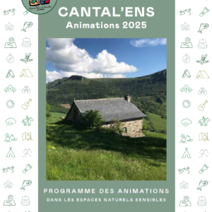 Marche méditative et yoga
