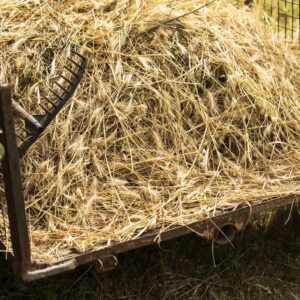 Fête des battages et des vieux métiers